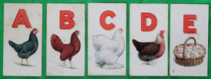 1924 Imperial Tobacco cards, complete set #C38 ‘Poultry Alphabet