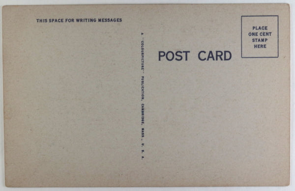 USA Black American postcard “sure wish you would write”