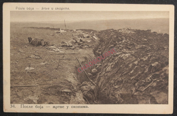 WW1 photo of dead Serbian soldiers in a trench