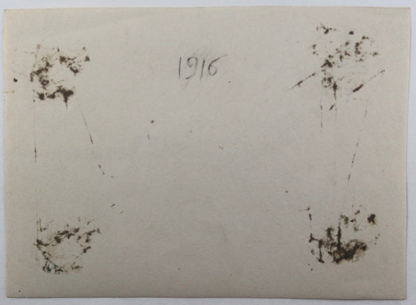 1916 Guerre 14-18 France photo d’un avion biplan français capoté