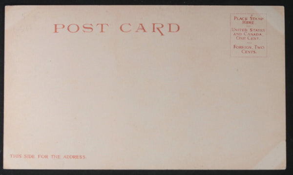 1903 USA postcard female cowboy