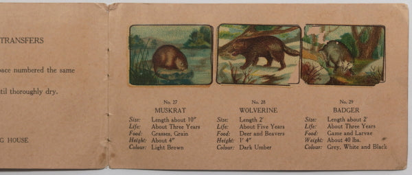 United Church - Magic Transfer Attendance Record