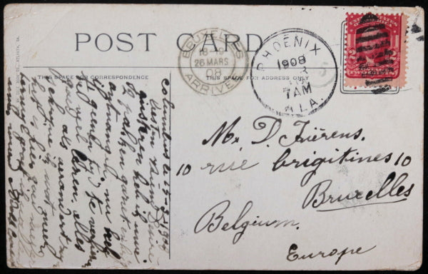 1908 USA postcard Black Americana postcard child inside cotton boll