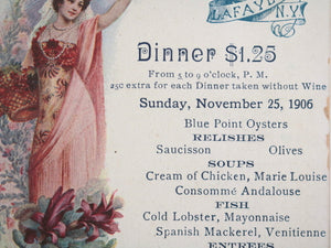 1906 USA postcard menu for Cafe Lafayette NYC