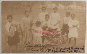 1906 USA Alabama postcard young African-Americans with wood cart