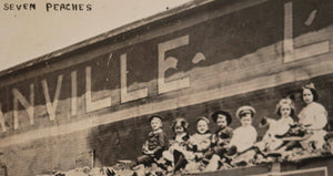 1910s USA photo postcard advertising coal sales Danville KY