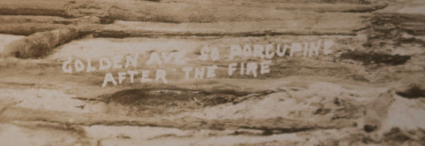 1911 Canada photo postcard aftermath Porcupine Ontario Great Fire