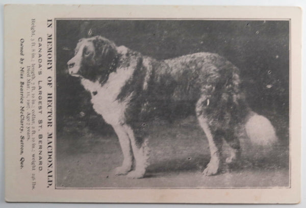 c. 1907 Canada Sutton QC trade card McClarty marble dealer + Dog