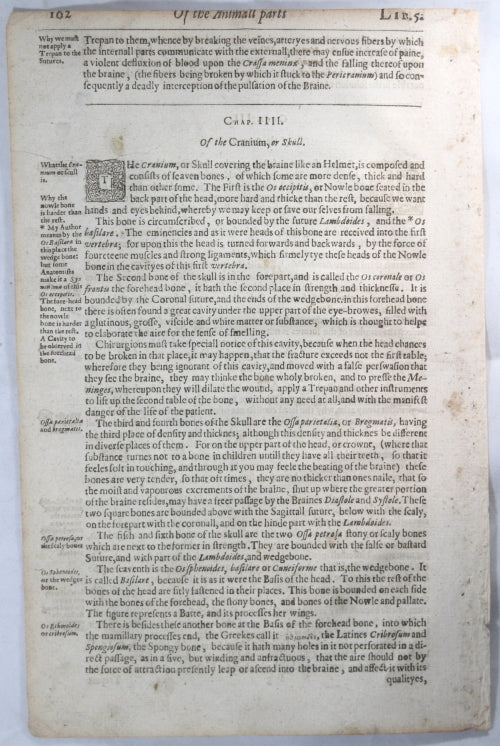 1634 four pages from Thomas Johnson's book on Surgery #1