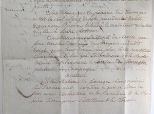 1794 Marseilles fourrage des chevaux de service de l’Armée d’Italie