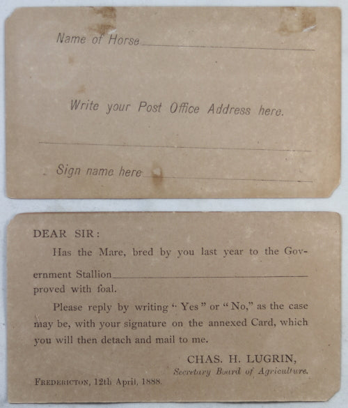 1888 two New Brunswick postal reply cards, registering horses with gvt. 1888 two New Brunswick postal reply cards, registering horses with gvt.