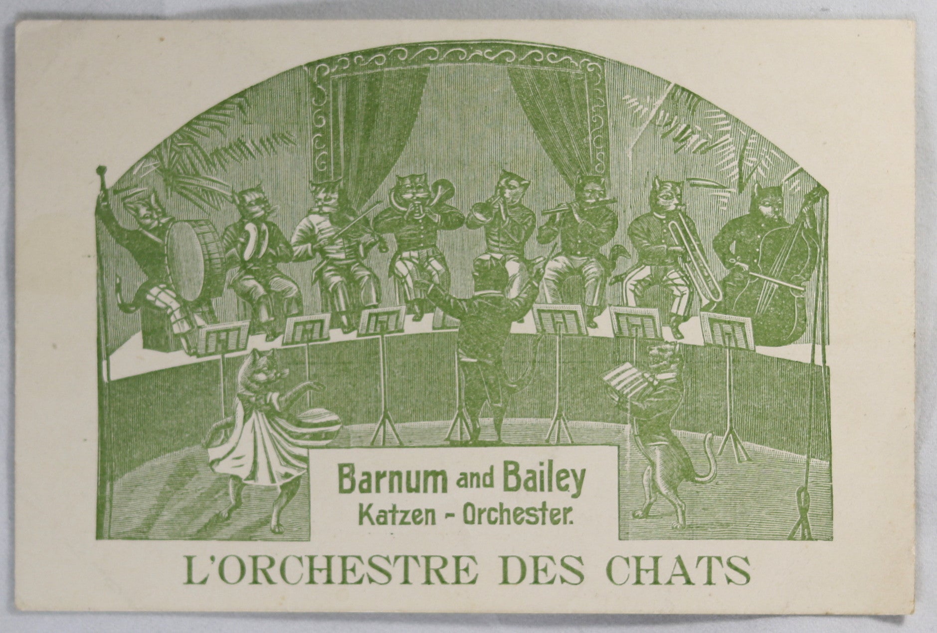 @1900 Barnum and Bailey ‘Cat Orchestra’ postcard (German/French)