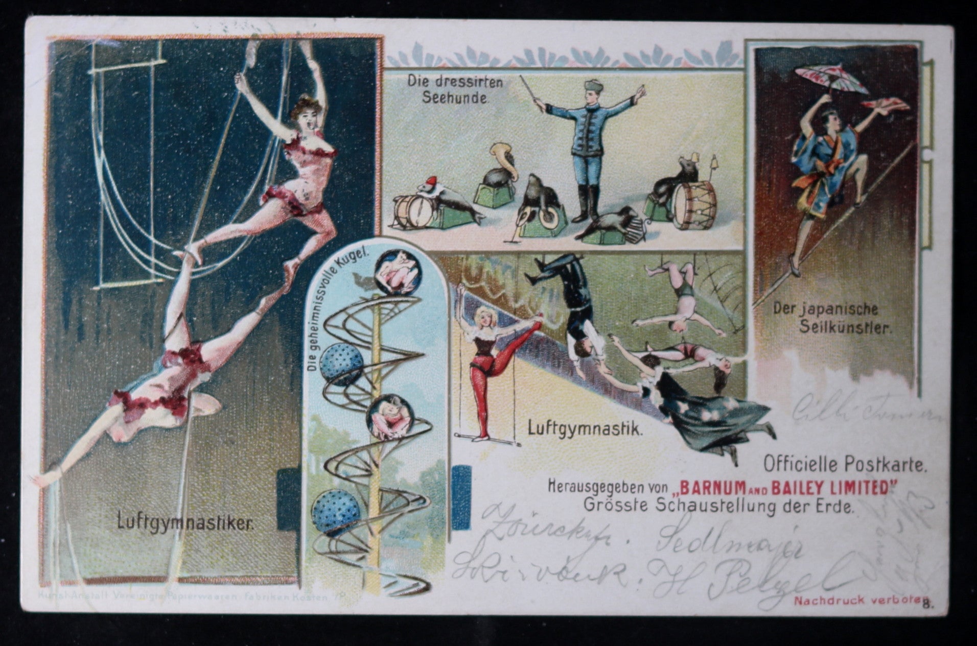 1901 Barnum and Bailey trapeze postcard (German) #2