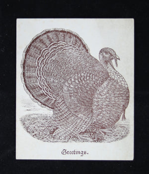 1904 Turkey song card