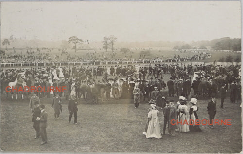 1909 photo postcard Newcastle Race Course (UK), horse Easter Meeting