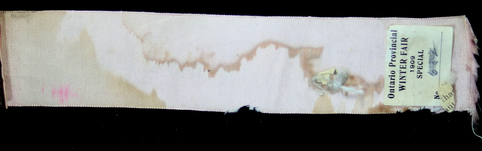 1909 poultry ribbon Ontario Provincial Winter Fair Guelph