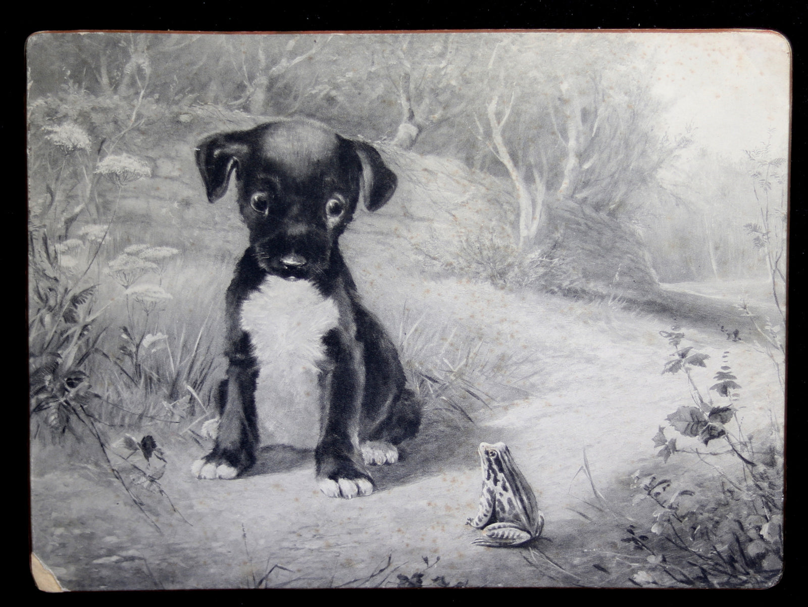 1911 Calendar with puppy and frog 1911 Calendar with puppy and frog
