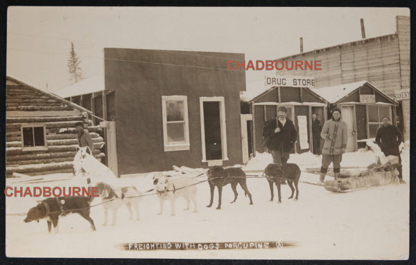 1911 photo postcard of dogsled team, Porcupine Ontario