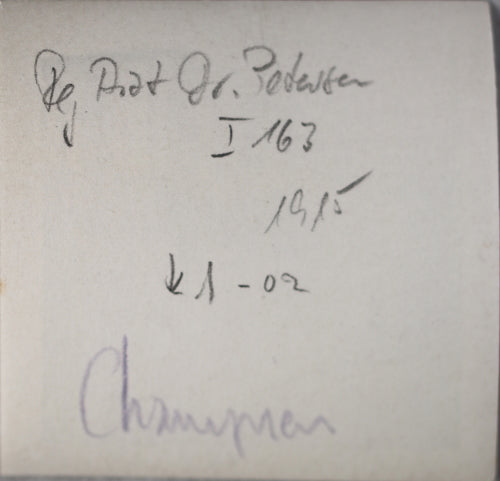 1915 WW1 photo  German soldier of 163rd Regiment, horse and cart