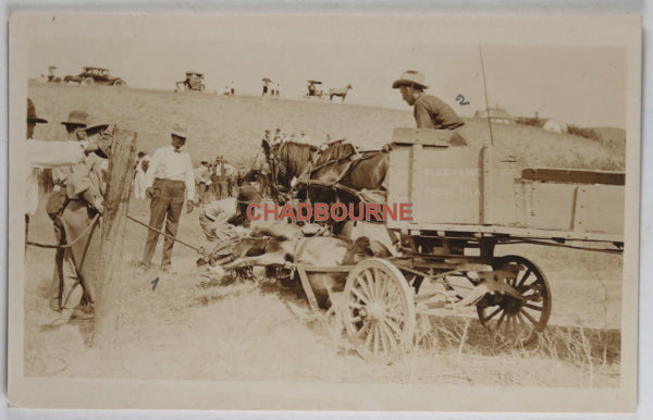 1915 photo postcard incapacitated h orse rodeo Pierre South Dakota #2