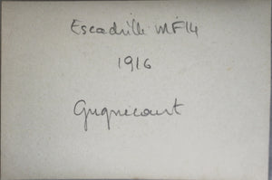 1916 Guerre 14-18 photo pilotes et Nieuport près Gugnécourt (MF14)