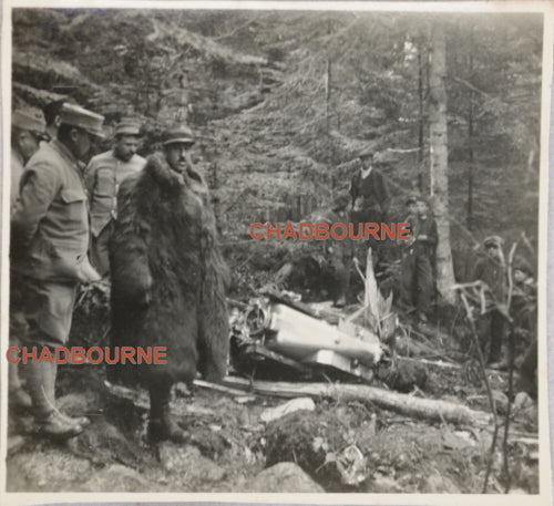 1917 photo avion allemand DFW abattu dans un foret en France