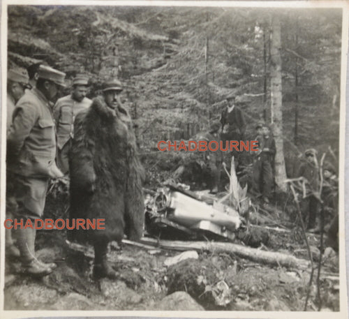 1917 deux photos avion allemand DFW abattu dans un foret en France 1917 deux photos avion allemand DFW abattu dans un foret en France