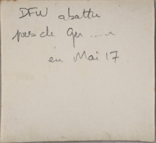 1917 deux photos avion allemand DFW abattu dans un foret en France 1917 deux photos avion allemand DFW abattu dans un foret en France