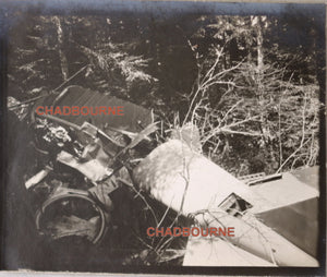 1917 photos avion allemand DFW abattu dans un foret en France