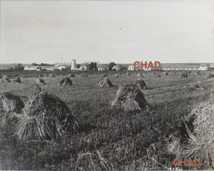 1920 CPR Pollard photo of Allan Gillis Farm, Clover Bar, Alberta