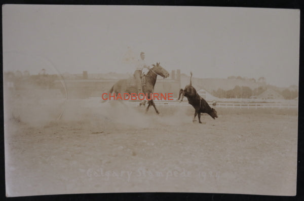 1924 Canada Calgary Stampede photo postcard cowboy chasing down steer