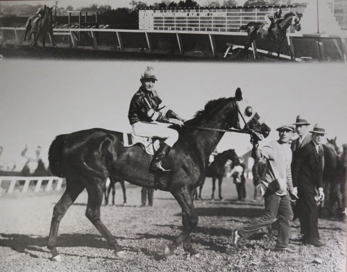 1928 photo thoroughbred “Plain Dealer” Fairground Course, Louisiana