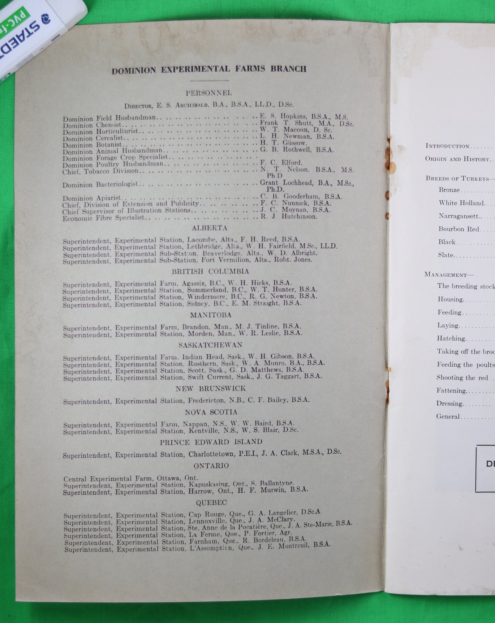 1931 Turkeys - Their Care and Management