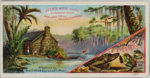Ayer's Ague Cure - advertising trade card (early 1900's)