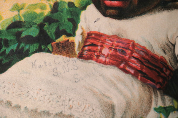 Black Americana, illustration baby and spider on cover c.1890