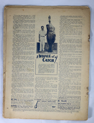 British Boys story paper and comic 'The Triumph' #483 January 20,1934
