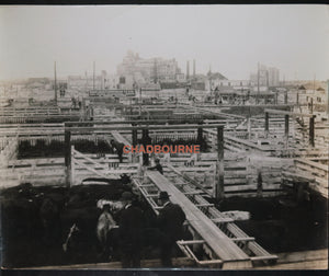 Canada Alberta large photo of Calgary stockyards pre-1930