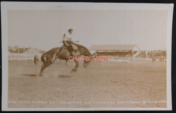 Canada photo postcard Mike O’Hara steer riding Calgary Stampede c.1926Canada photo postcard Mike O’Hara bronco riding Calgary Stampede c1926