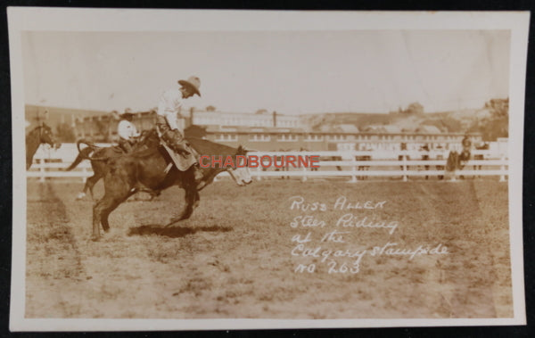Canada photo postcard Russ Allen steer riding Calgary Stampede c.1920s