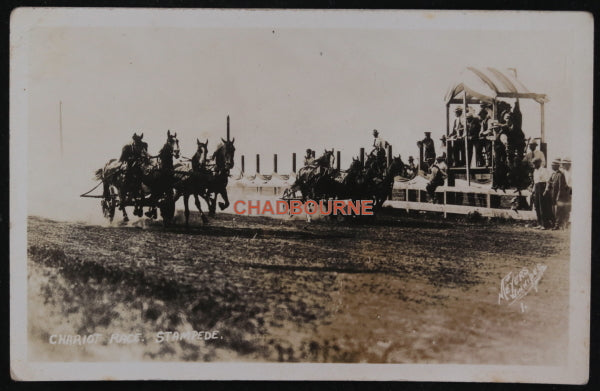 Canada photo postcard cowboy chariot race Winnipeg Stampede 1913