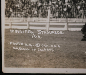 Canada photo postcard cowboy on bucking bronco Winnipeg Stampede 1913