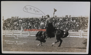 Canada photo postcard cowboy on bucking bronco Winnipeg Stampede 1913