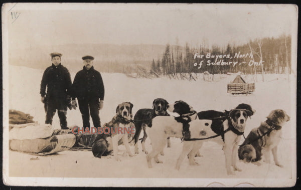 Canada photo postcard fur buyers & dogsled, Sudbury Ontario. c. 1930