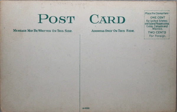 Canadian postcard of steamer “Chippewa” docked on Lake Ontario c.1910