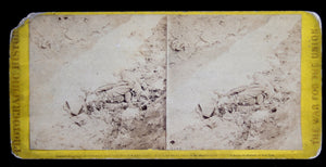 Civil War stereoscopic photo of dead rebel Soldier in the Trenches of Fort Mahone April 3rd 1865