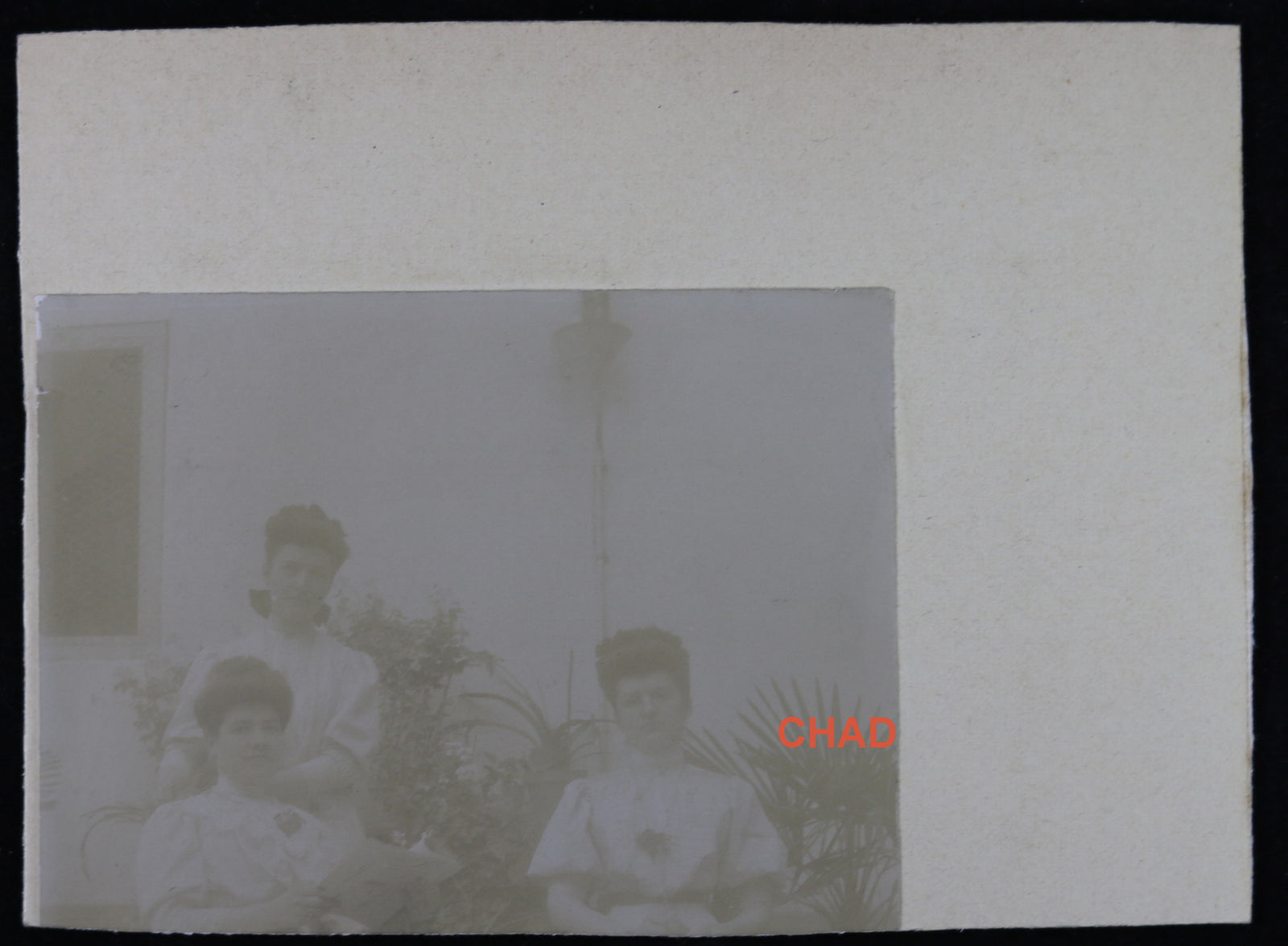 Early 1900s car rally photo