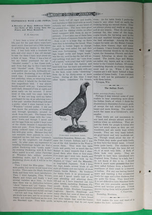 February 1896 American Poultry Journal