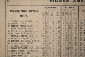 France 1888 Château Salettes - prix vignes Américaines-anciens (vin)