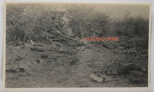 Guerre 14-18 1918 deux photos officier allemand tué, Gits (Belgique)