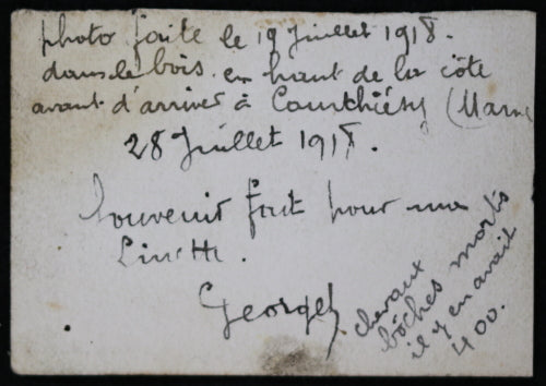 Guerre 14-18 photo 1918 chevaux allemands morts Courthiézy (Marne)